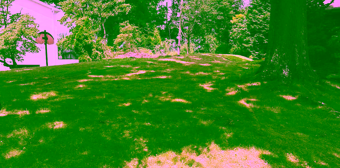 Hydroseeding vs. Sod in Pittsburgh: Which Is Right?