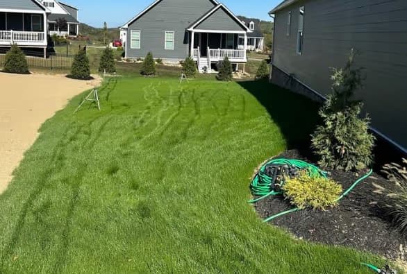 Residential yard transformation Pittsburgh
