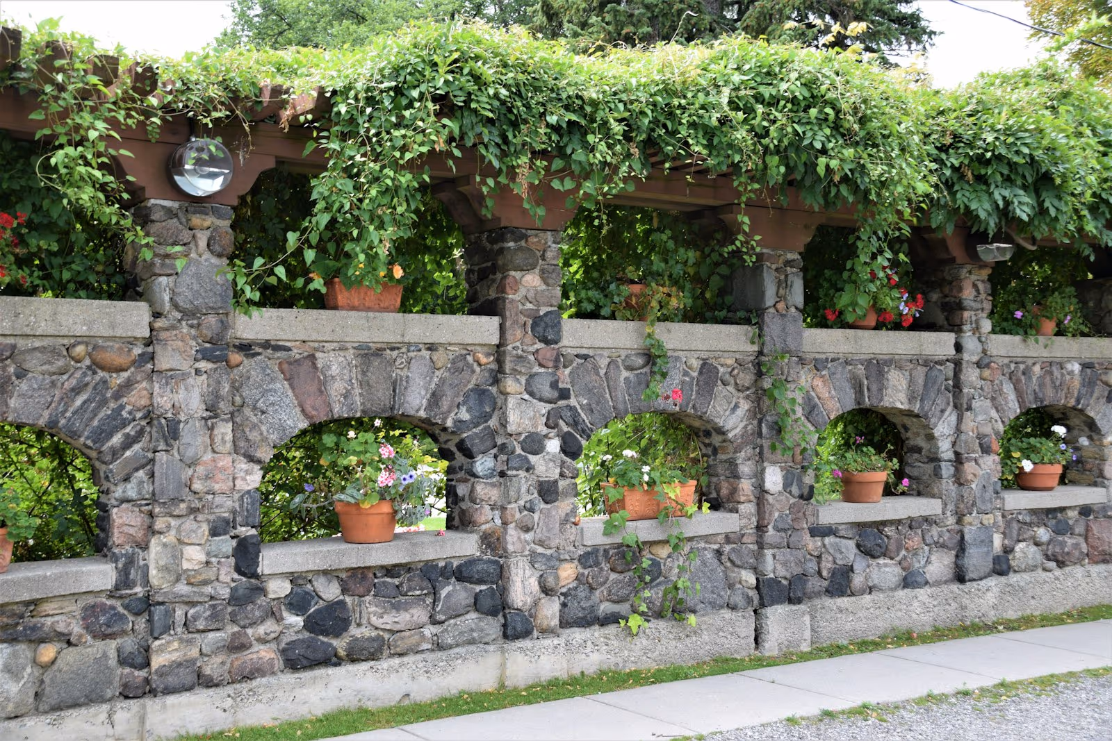 Plants established above a stone retaining wall
