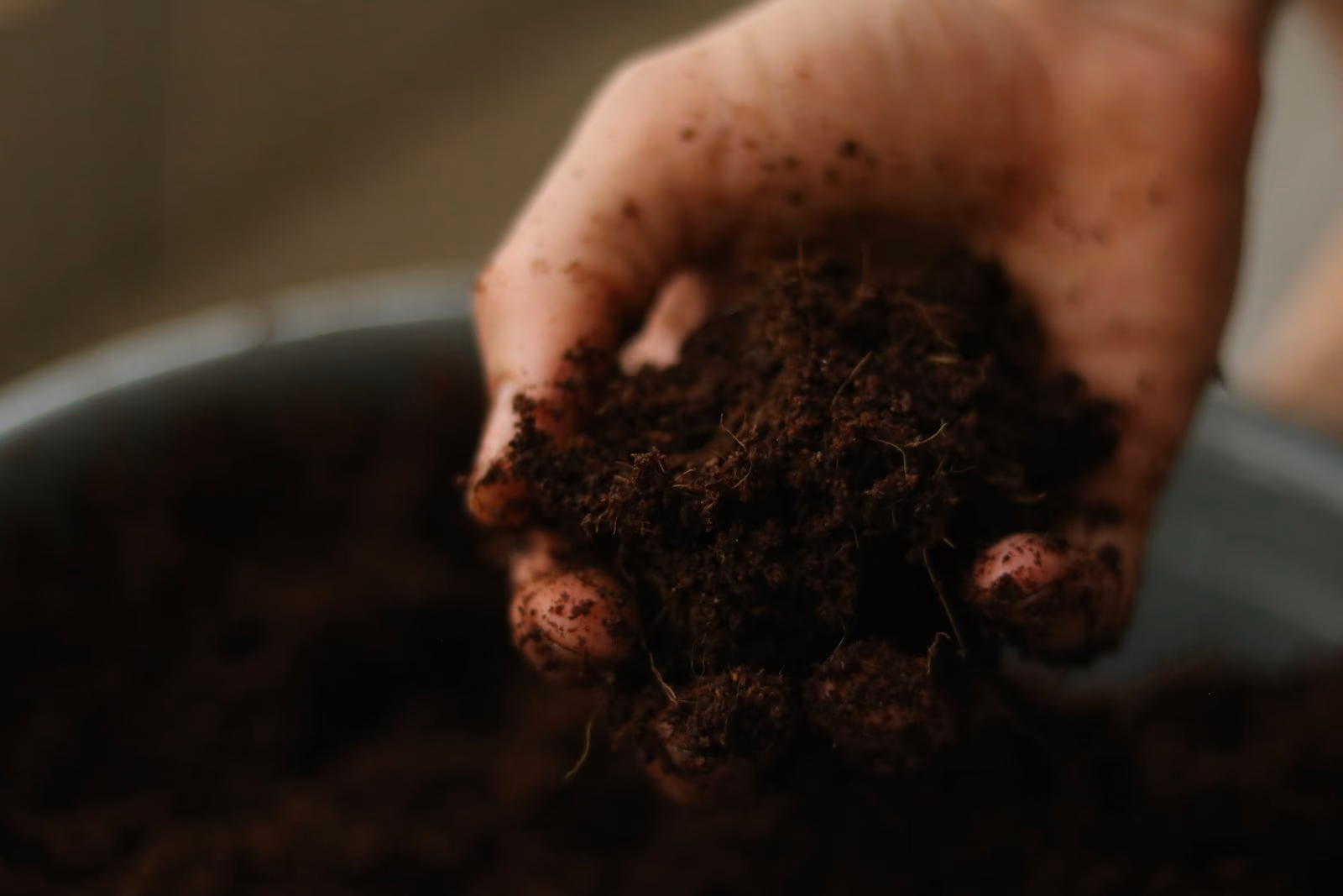 Topsoil vs. Fill Dirt: What Your Pittsburgh Yard Needs